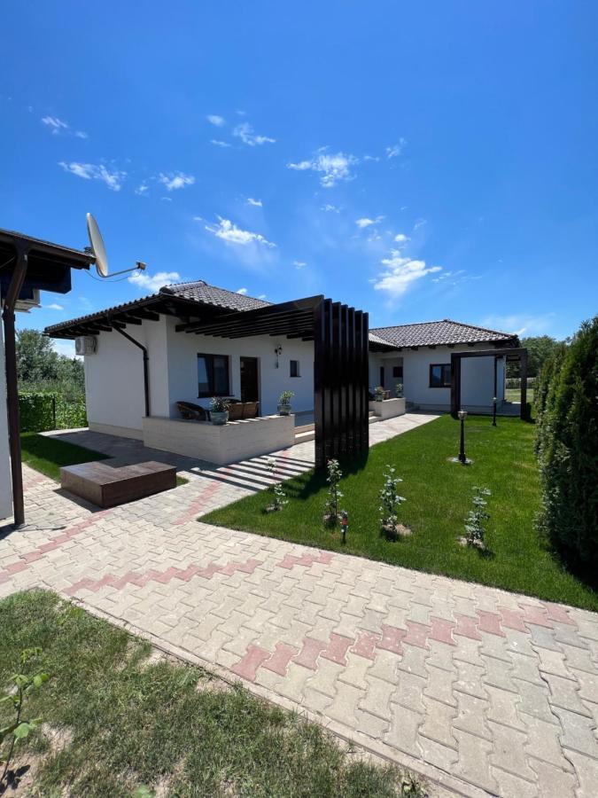 Pensiunea Izora Crisan  Exterior foto